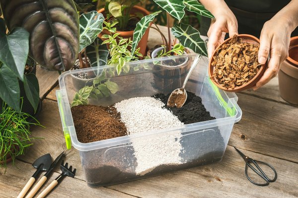 Quelles sont les techniques pour préparer des desserts à base de lait de coco dans un restaurant exotique?